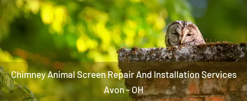 Chimney Animal Screen Repair And Installation Services Avon - OH