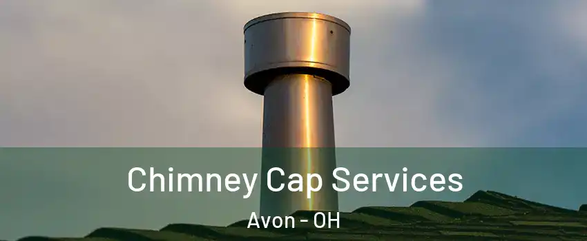  Chimney Cap Services Avon - OH