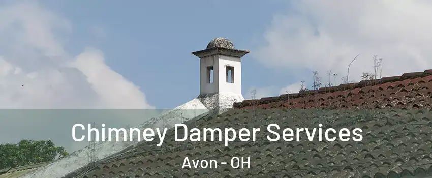  Chimney Damper Services Avon - OH