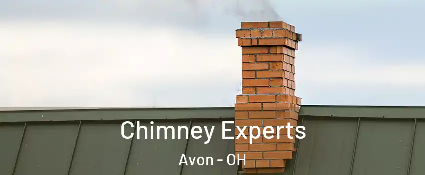  Chimney Experts Avon - OH