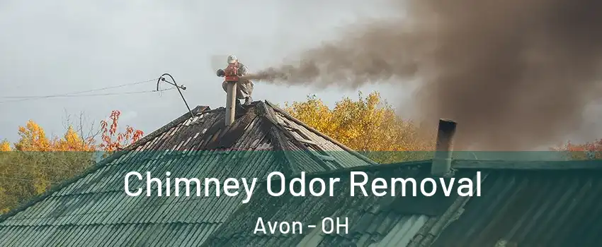  Chimney Odor Removal Avon - OH