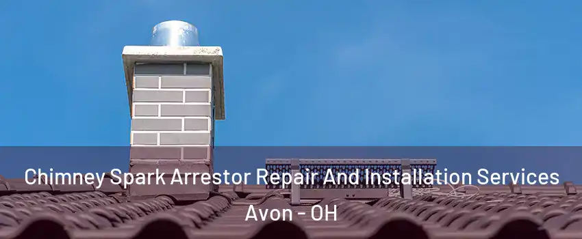  Chimney Spark Arrestor Repair And Installation Services Avon - OH