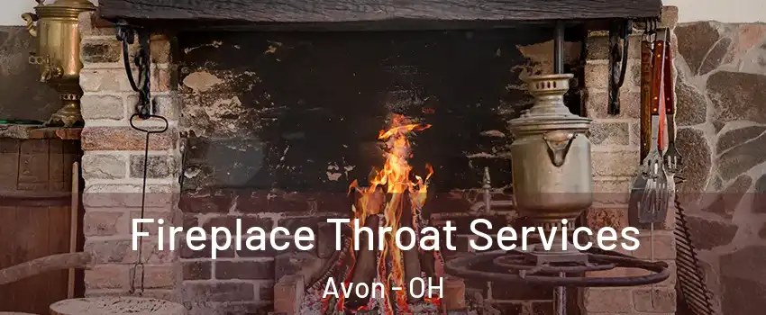  Fireplace Throat Services Avon - OH