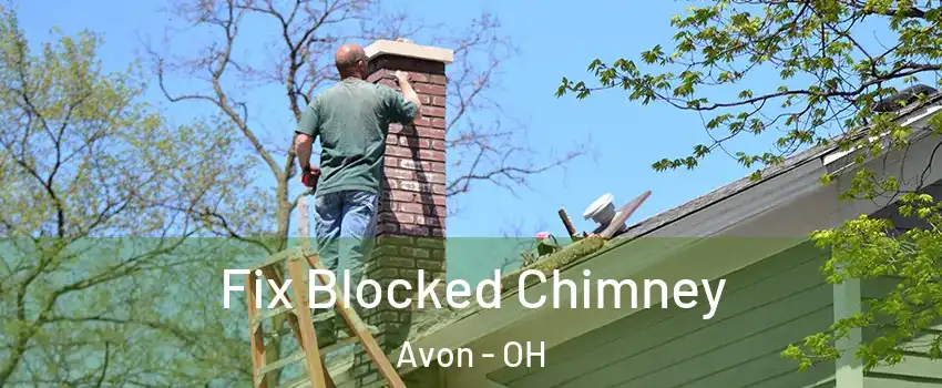  Fix Blocked Chimney Avon - OH