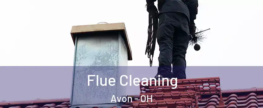  Flue Cleaning Avon - OH