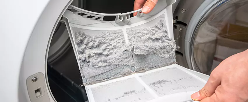 Best Dryer Lint Removal Company in Avon, Ohio