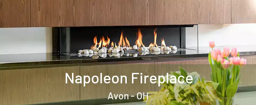  Napoleon Fireplace Avon - OH