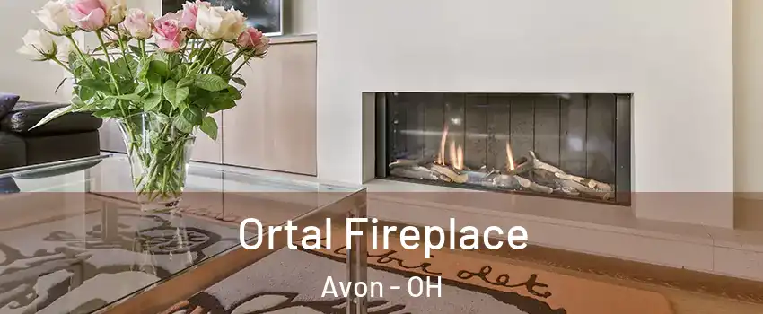  Ortal Fireplace Avon - OH